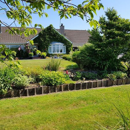 Meadow View B&B Ballymena Zewnętrze zdjęcie