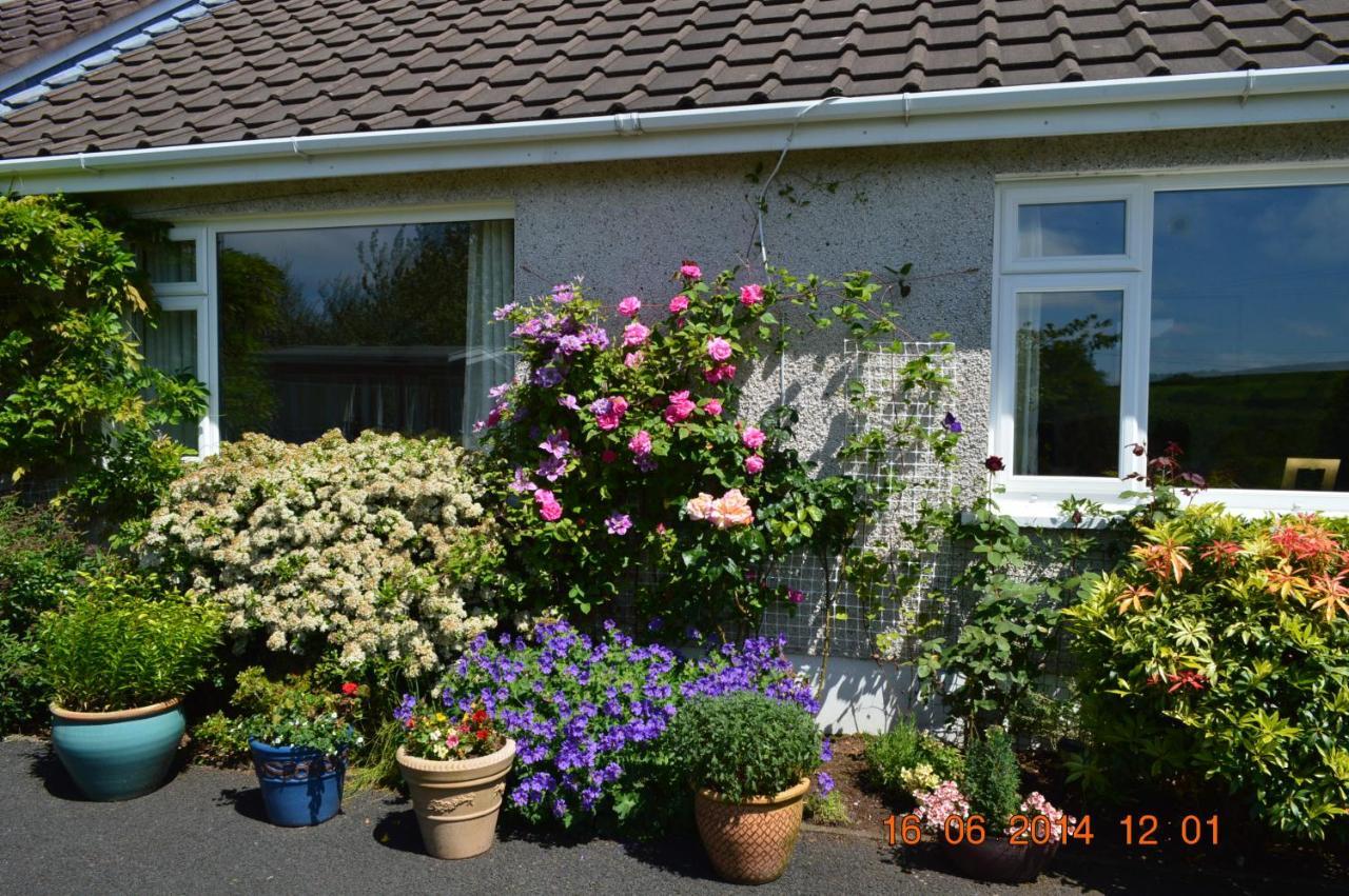 Meadow View B&B Ballymena Zewnętrze zdjęcie