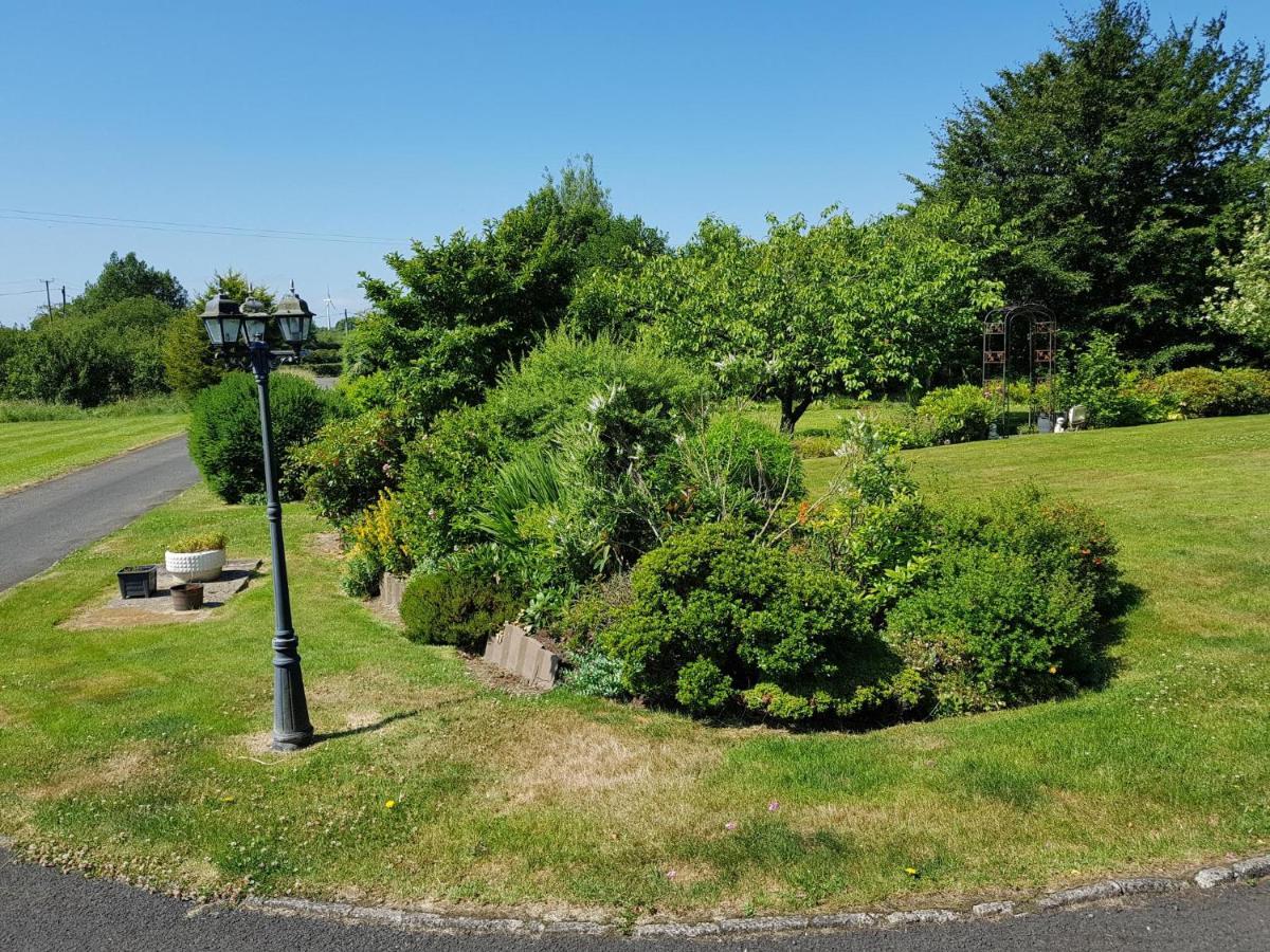 Meadow View B&B Ballymena Zewnętrze zdjęcie