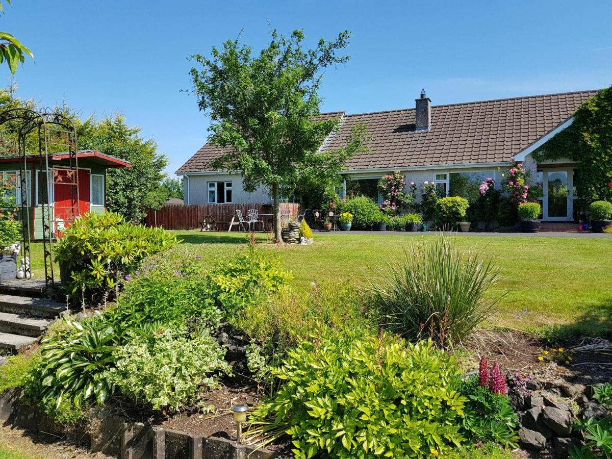 Meadow View B&B Ballymena Zewnętrze zdjęcie
