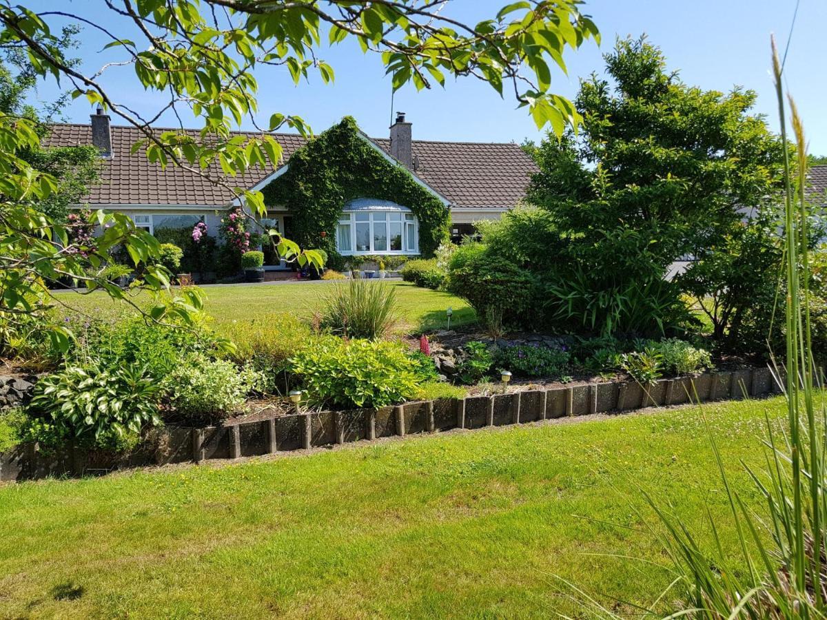 Meadow View B&B Ballymena Zewnętrze zdjęcie