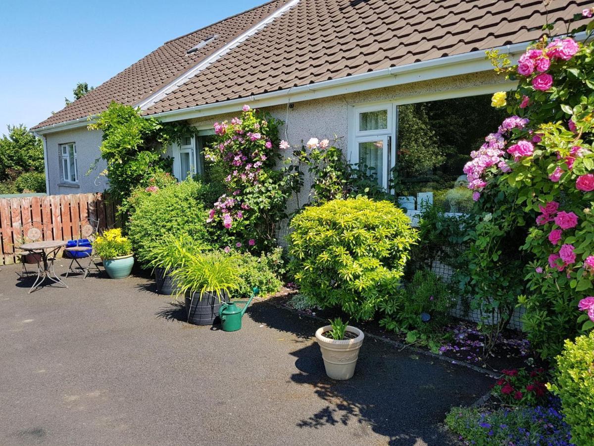 Meadow View B&B Ballymena Zewnętrze zdjęcie