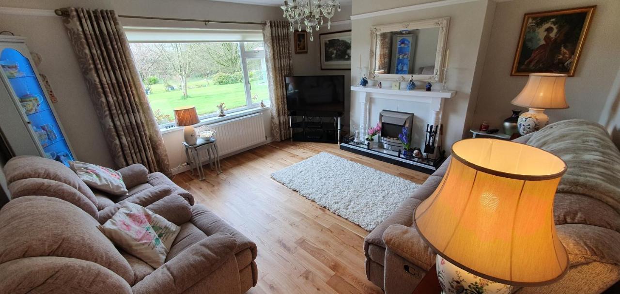 Meadow View B&B Ballymena Zewnętrze zdjęcie